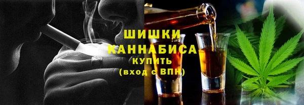 молекула духа Балахна