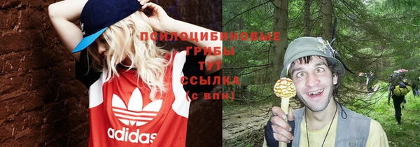 экстази Снежногорск