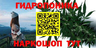 стафф Балашиха