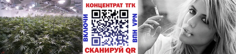 где найти   Гулькевичи  ТГК гашишное масло 
