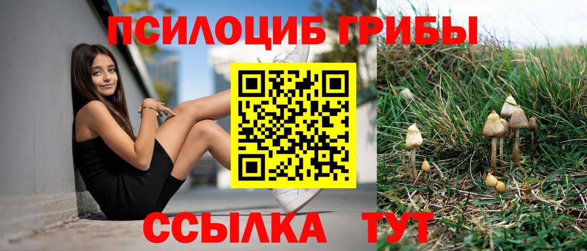 Псилоцибиновые грибы MAGIC MUSHROOMS Гулькевичи